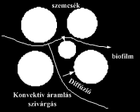 1 L ΔS = μ(p) CO 2 Sc rh (2.1) P dm ahol rh a Π 5 (Nrnst-tényző) és ph sgítségévl lvzthtő dimnziótlan rdoxpotnciál μ(p) a biológiai szűrési tényző. 3 A BIOFILMEN TÖRTÉNŐ TÁPANYAGLEBONTÁS FELTÉTELEI 3.