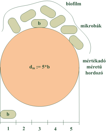 3-5. ábra A mértékadó átmérő önkénys mgválasztása A 3-6. ábra a használatos biofilmhordozó anyagok gynértékű és mértékadó szmcsátmérőink nagyságát logaritmikus léptékbn mutatja.