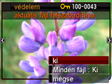Fájlok törlés elleni védelme (védelem) [p] (LEJÁTSZÁS) * [MENU] * LEJÁTSZÁS fül * védelem be Minden fájl : Be Adott fájlok védelme.