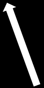 környéki helyi