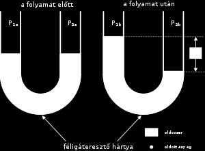 Az emberi szervezet vízháztartását idegi és hormonális mechanizmusok szabályozzák.