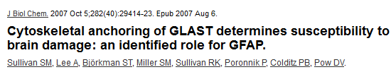 asztro-nyúlványt és a GLAST membránban tartását klb.