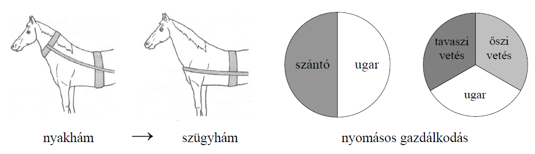 4. A feladat a Julius Caesar tevékenységével kapcsolatos. Egészítsd ki a szöveget a hiányzó adatokkal (fogalmakkal, nevekkel, évszámokkal)!