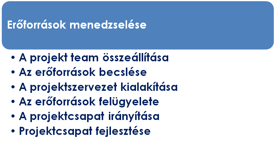 viselkedési kompetenciák, amelyek a projekt határain belüli személyes kapcsolatokhoz kötődnek; környezeti kompetenciák, amelyek a projekt belső szervezeti és külső környezeti kezelésével