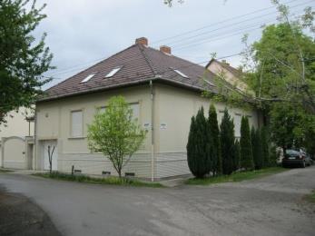 Gyep Lomb Csupasz talajfelszínek 5.4. ÁBRA Növényzeti spektrumok Szeged, Mátyás-térről A felvételezett területeken nagyobb kiterjedésű, borítás nélküli talajfelszínnel nem találkozhatunk.