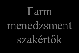 Az Információs folyamat Menedzsment Információs Rendszer információ gazdasági, piaci feltételek szolgáltatás időjárás stb.