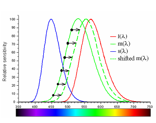 4.4.1. ábra Protanomália A 4.4.2. ábra a deuteranomália spektrális érzékenységét ábrázolja.