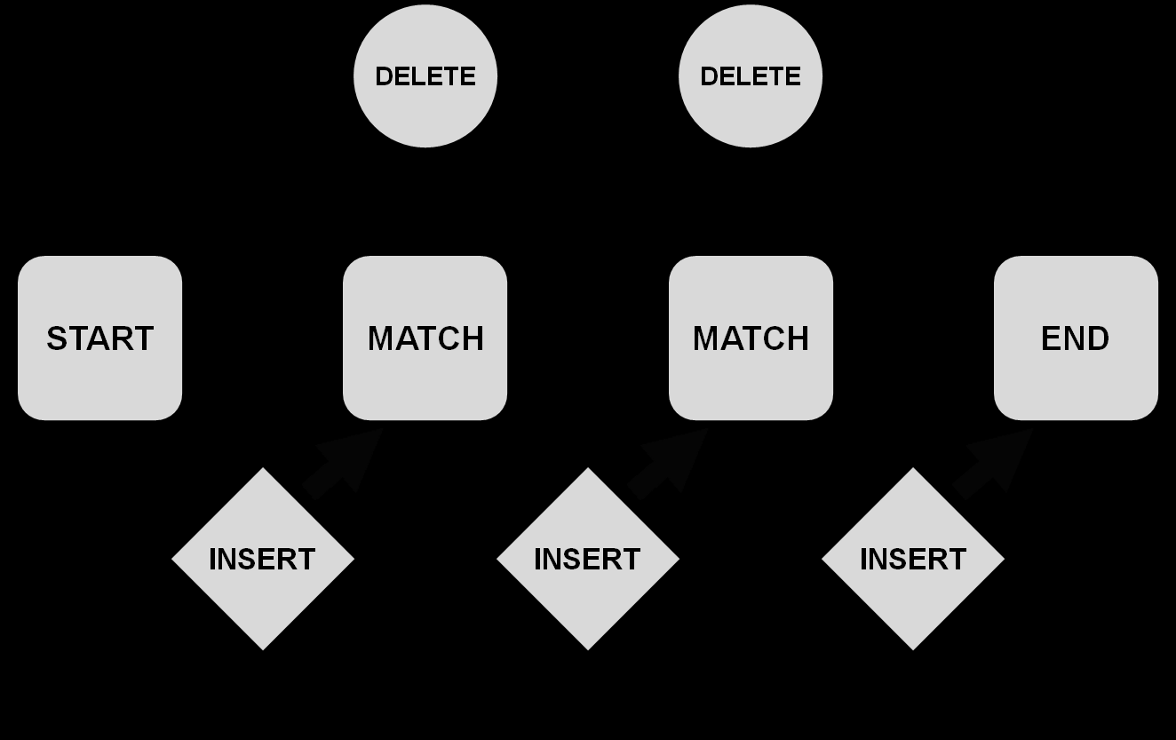 A rejtett Markov modell készítésének alapja a forrás szekvenciák többszörös illesztése, melynek oszlopait egyesével véve folyamatosan felépítjük a modell alapjául szolgáló automatát.