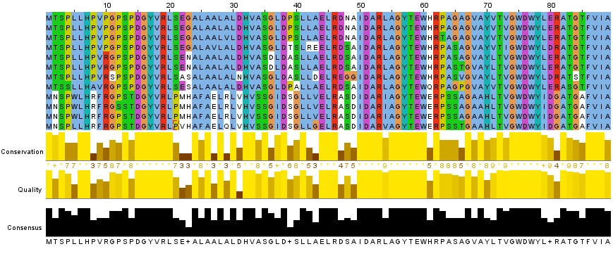 I. Melléklet Az RsaM gének egy részéből készített többszörös illesztés részletének megjelenítése Jalview