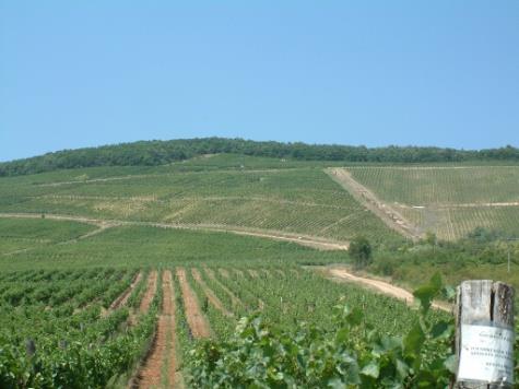 A terroir francia kifejezés magyar jelentése termőföld, termővidék, termőhely.