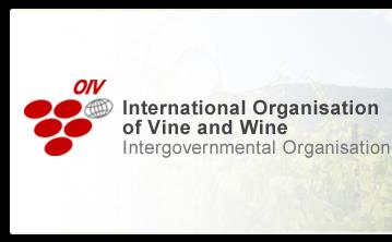 Az OIV (Organisation International de la Vigne et du Vin Nemzetközi Szőlészeti és Borászati Hivatal) 2010-ben (Tbiliszi)megfogalmazott definíciója szerint: A szőlészeti-borászati terroir fogalma