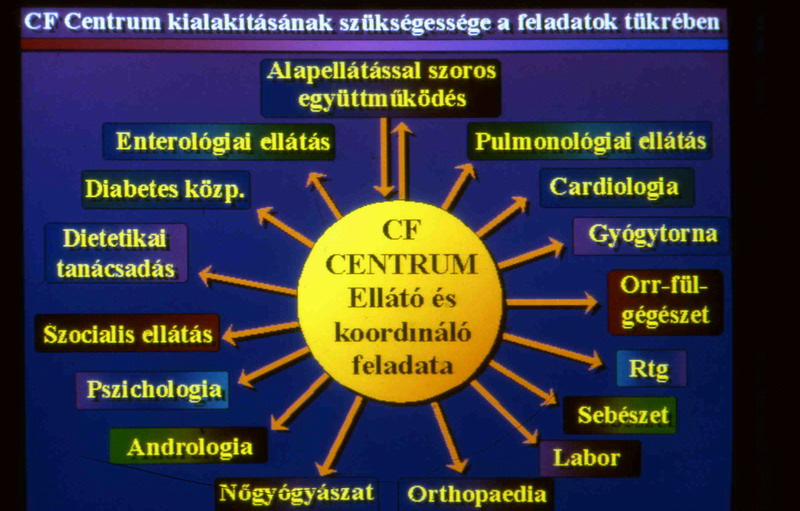 cystás fibrózis sajátosságai Biofilm kialakulás 3 nap 8 óra 1.