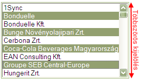 18. ábra A partnerválogatás az alábbi módon történik: jobboldalon egérrel kijelöljük azokat a partnereket, melyeket szeretnénk saját partnereink közé felvenni, majd a baloldali panelbe, ahol a