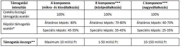 Pályázat kódja: TAMOP-2.1.3.