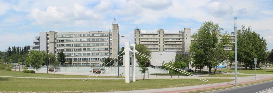 VASÚTTECHNIKAI SZAKMAI ANKÉT Győr, 2013. 07. 08.