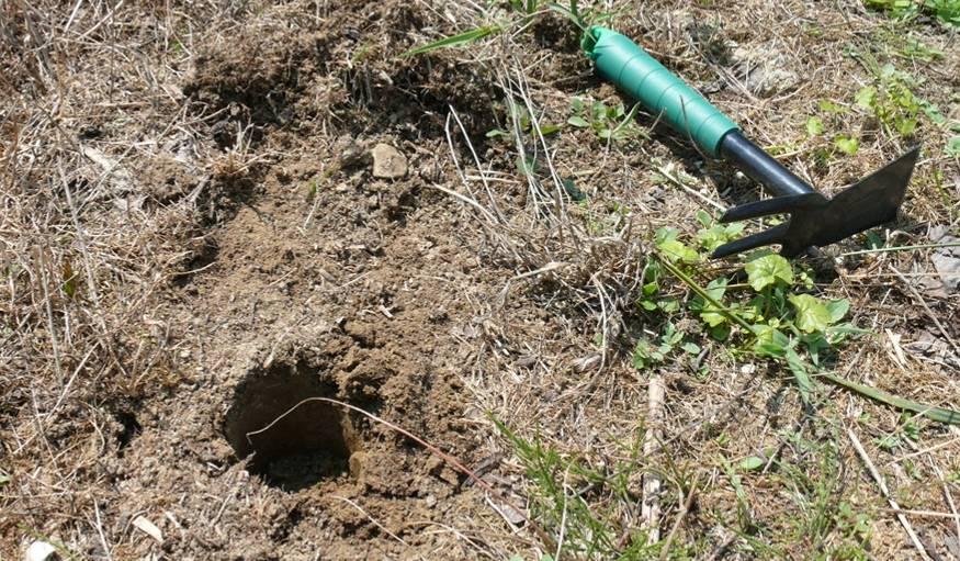 Talajminta vétel - Átlagminta talaj felső 10cm-es rétegéből