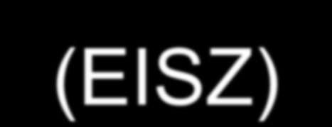 Elektronikus információszolgáltatás (EISZ) A BDF könyvtárának honlapja: http://www.bdtf.
