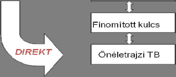 azok a specifikus célok határozzák meg, amelyek a szelfnek kiemelt jelentőségűek.
