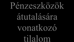 A Pénzmosás Elleni Információs Iroda feladatai a pénzügyi és vagyoni korlátozó intézkedésekhez kapcsolódnak, tekintettel arra, hogy a Nemzeti Adó- és Vámhivatal szervezetéről és egyes szervek