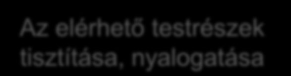 Testhőmérséklet változása Légzési frekvencia változása Érintésre adott abnormális válasz (visszahúzódás, vokalizáció, légzési frekvencia változása) Fogcsikorgatás (pl.