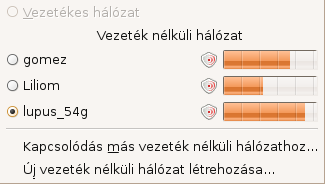 Hálózat beállítása LAN: telepítő automatikusan ADSL: