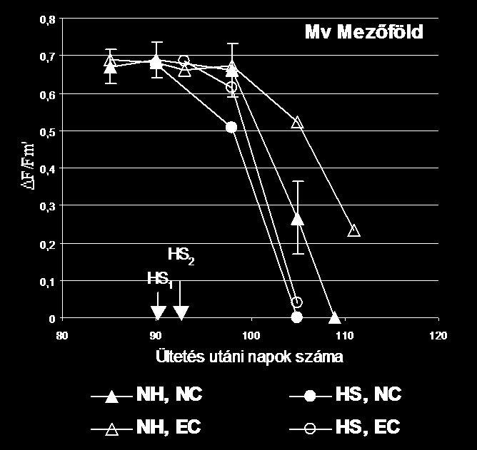 harvest index két fajtánál mérséklődött, az Mv Mezőföldnél viszont nem különbözött jelentősen a normál CO 2 
