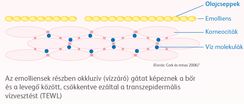 AZ EMOLLIENSEK