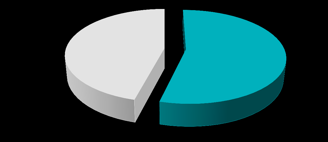 Gazdasági aktivitás (%) Gazdaságilag inaktív 46% Gazdaságilag aktív 54% 36. ábra: Válaszolók munkaerő-piaci státusza (összevont változó) A családi jövedelmeket tekintve a XVIII.