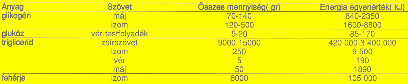 Alapvető tápanyagok, mint energiahordozók?