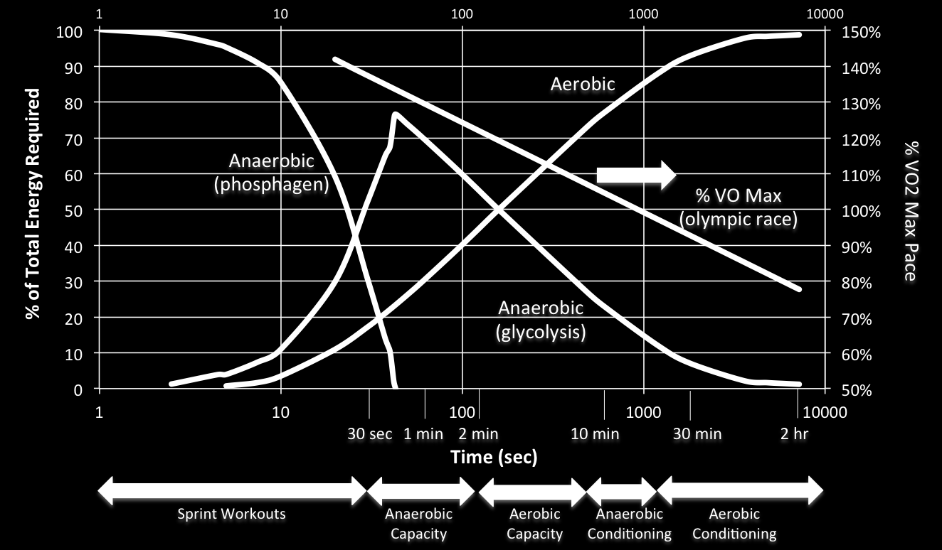 Energiamegoszlás % Az energiaszolgáltató folyamatok és a maximális oxigén felvétel az idő