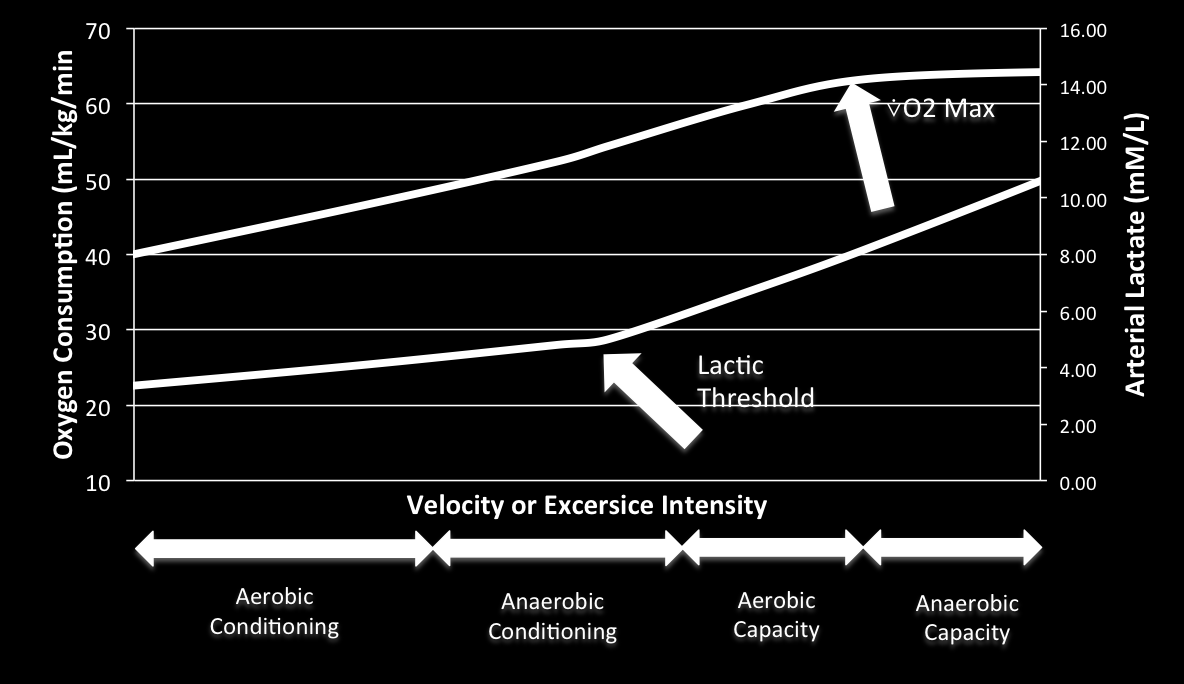 Oxigén felhasználás ml/kg/perc Artériás tejsav szint mmol/l A maximális oxigénfelvétel és a tejsav szintek