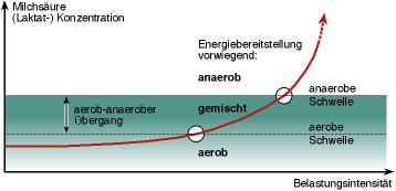 Az anaerob küszöb meghatározása Időtartam(perc): 200 60 40 Intenzitás(%): 50-60 70-90 TS mmol/l 4 6 2