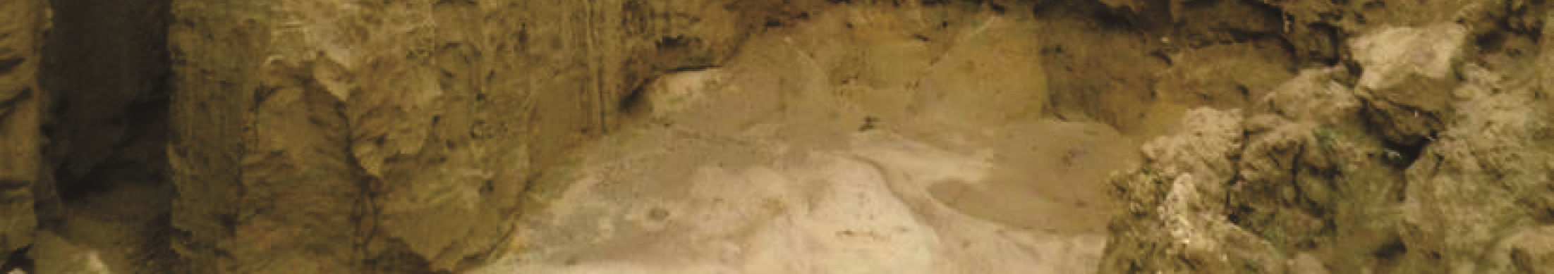 forma, a Koppányvölgyében is jelen van. Első esetben egy 4 5 m mély eróziós árkot láthatunk egy napraforgótábla közepén (2. ábra).