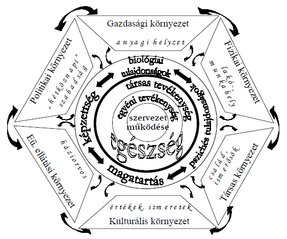 Környezet és egészség kapcsolata Egészség és környezet 2000.