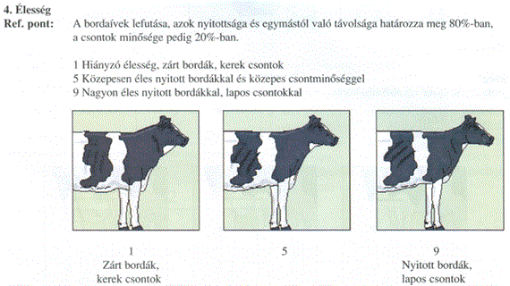 Melléklet