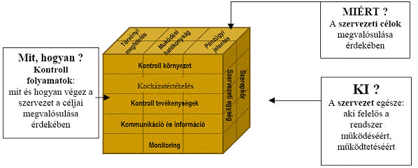 a közzétett irányelvek, módszertani útmutatók és a vonatkozó standardok alkalmazásának vizsgálata útján kell ellátni.