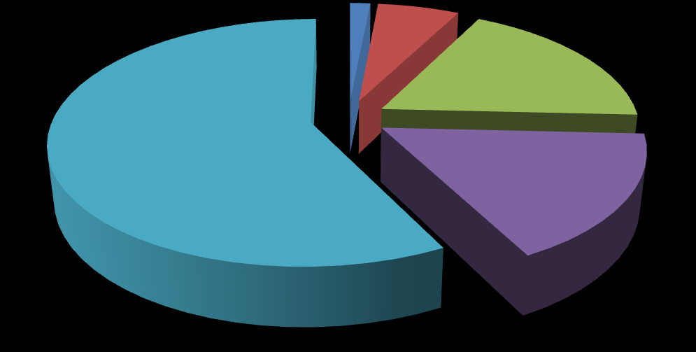 Idegen nyelv 17% 14% 24%