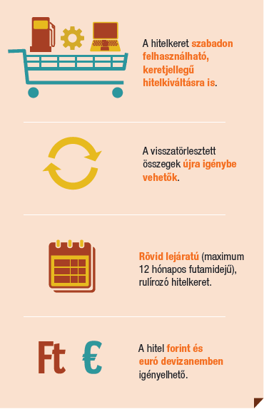 III. Finanszírozási megoldások