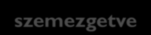 Megvalósítási problémák - szemezgetve FIDIC vagy NEM FIDIC?