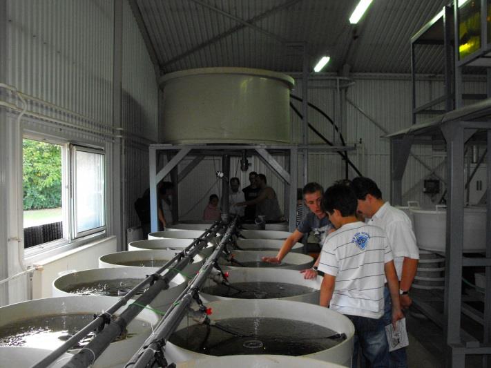 DE AGTC Halbiológiai Labor 18 db 450 l-es halnevelő medence; 20