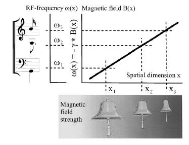 esetén: (i) B 0 homogén mágneses tér mindig jelen van spinek rendeződése (ii) lineáris mágneses tér