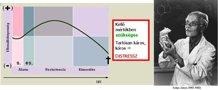 A stressz fogalma (generális adaptációs