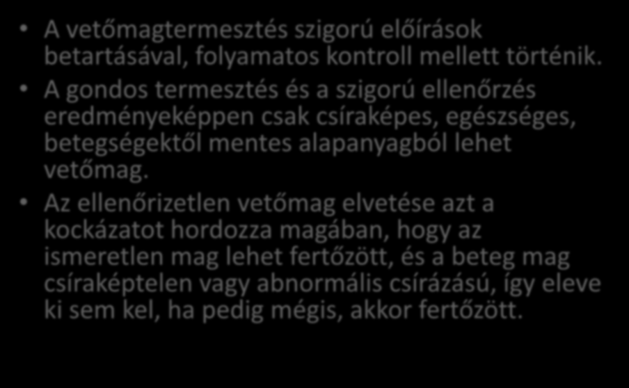 Minőségi növény-egészségügyi védelem: A vetőmagtermesztés szigorú előírások betartásával, folyamatos kontroll mellett történik.