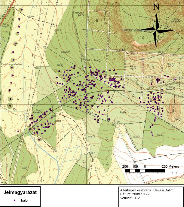A mérés eredménye 301 mért terepi pont Ebből: 288 halomnak tekinthető 12 kérdéses Bolygatott/(Rabolt?