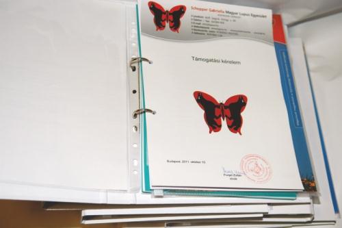 Összefoglaló a 2011. évi tevékenységéről 12. Támogatási kérelmek gyógyszergyáraknak 2011. október 15. Purgel Zoltán 2011.
