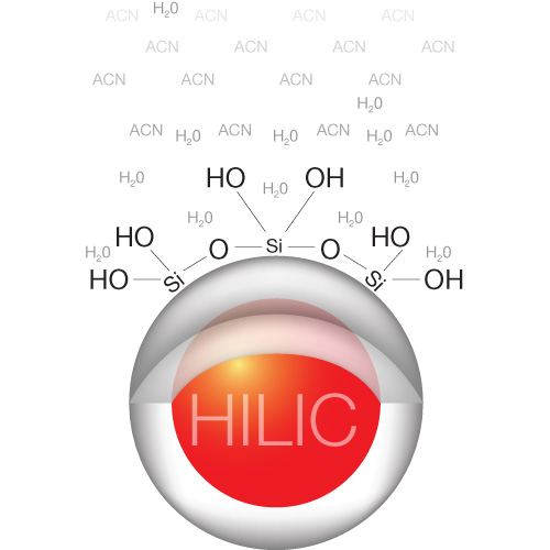 HILIC Bár a HPLC-n történő elválasztások nagy része hidrofób állófázison (C18, C8, fenil...) történik, a hidrofil anyagok visszatartása nagyon kis mértékű fordított fázisú körülmények között.