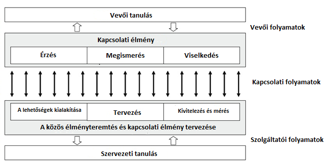 komponensét állapították meg: (1) vevői értékteremtő folyamatot (azt jellemzi, hogy milyen folyamatok, erőforrások és gyakorlatok igénybevételével történik a fogyasztás), (2) szolgáltatói
