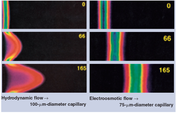 11. Töltött kapillárisfal elektroozmotikus áramlás (EF) δ=κ 1 x N Si H diffúz elektrokémiai kettősréteg: elmozdulhat ellenion konc.
