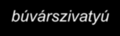 3.1 A Szímei termálkút főbb paraméterei A geotermikus energia termálkút legfontosabb adotságai: - tömegáram mo (szabad kifolyás, vagy búvárszivatyú), - a hévíz hőmérseklete θo (kútfejen), - a hévíz