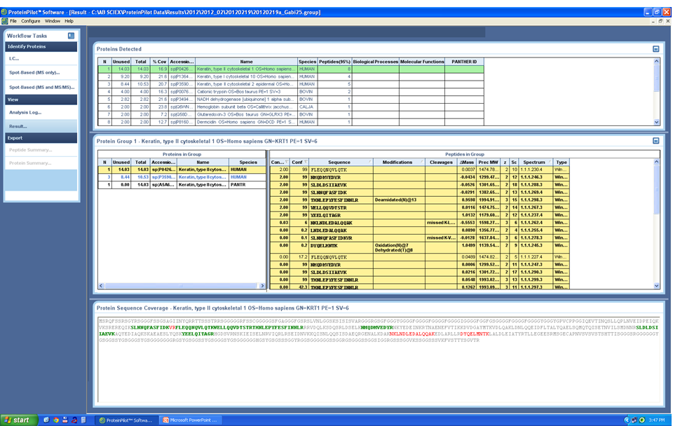 6. Protein Pilot View menü Results keresés